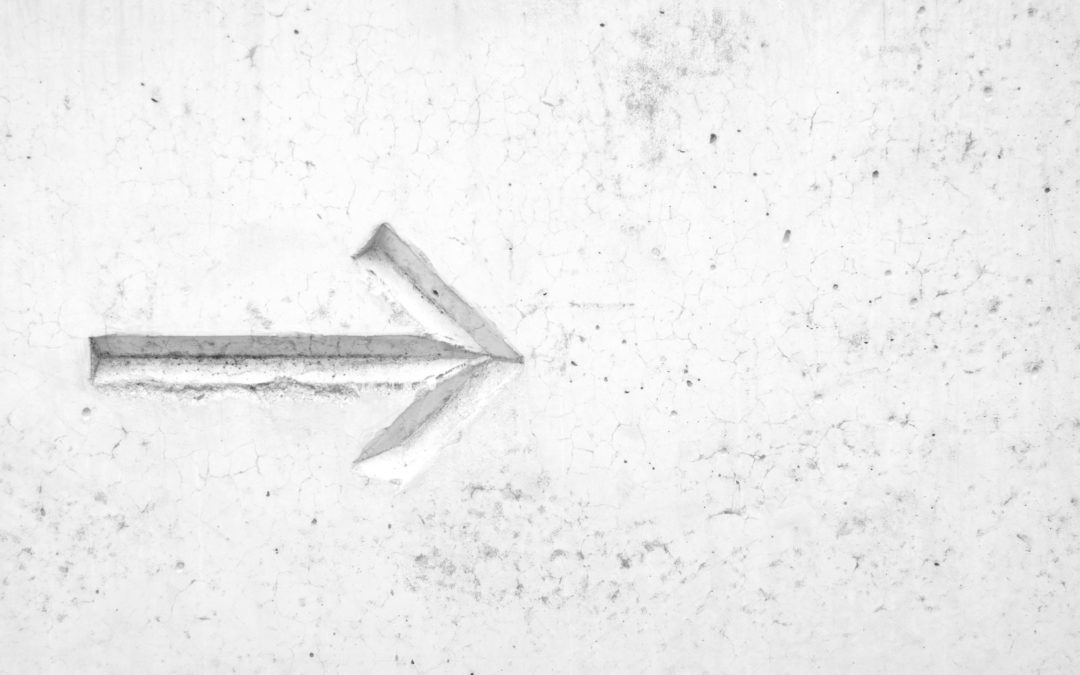 New owner for Softrak, the parent company of Adagio Accounting